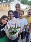 Grupa dziewcząt stojących obok rośliny doniczkowej.